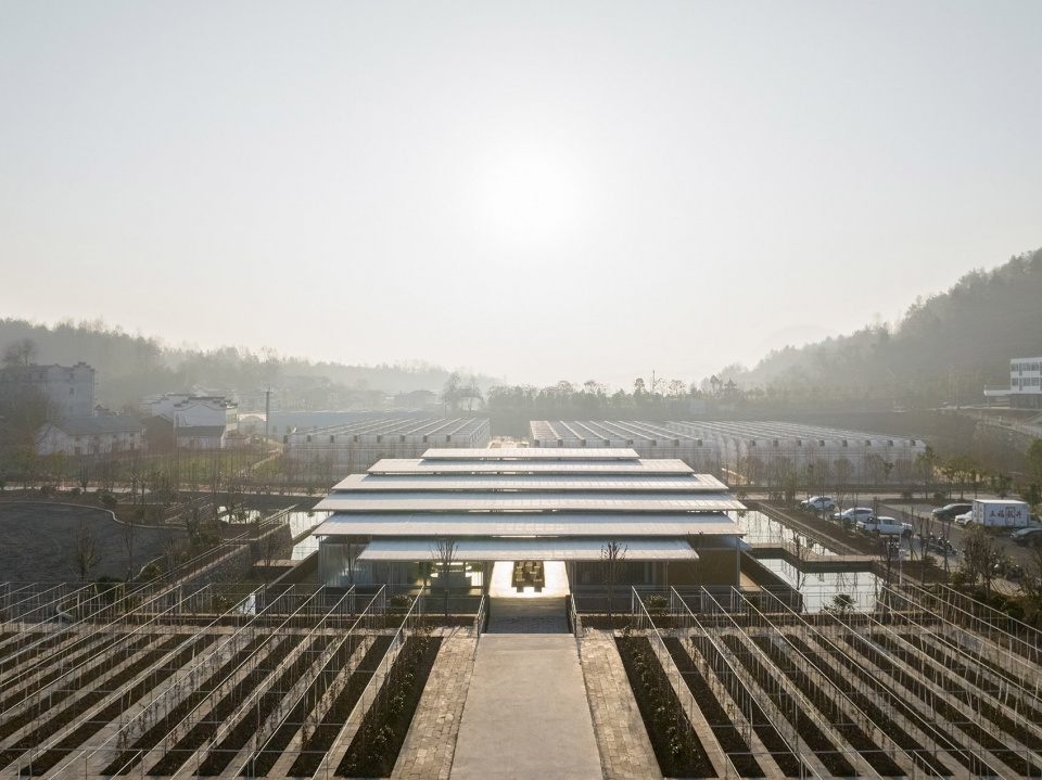 wufu longjing agricultural products exhibition center by describing architecture studio