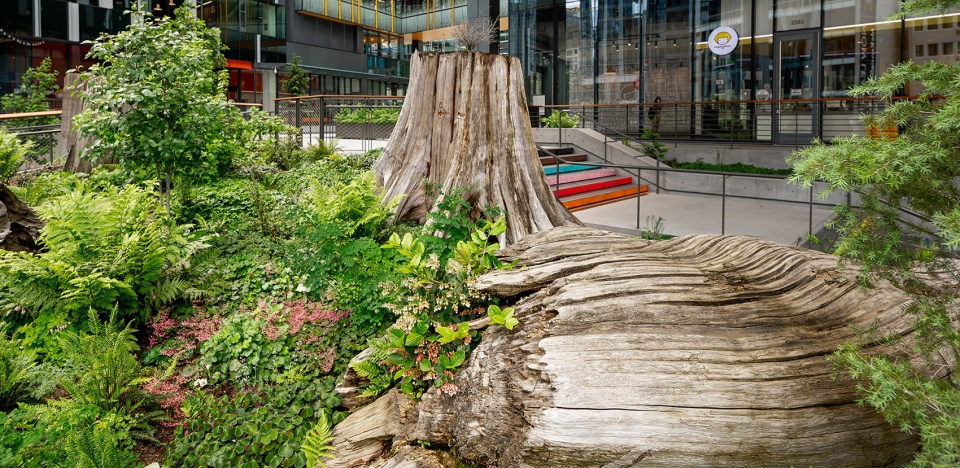 2022 asla urban design award of honor denny regrade campus site workshop