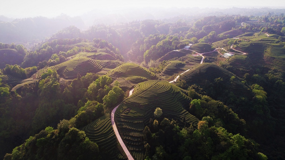 global collection of yaan baizhang lake landscaping and rural architecture international design competition