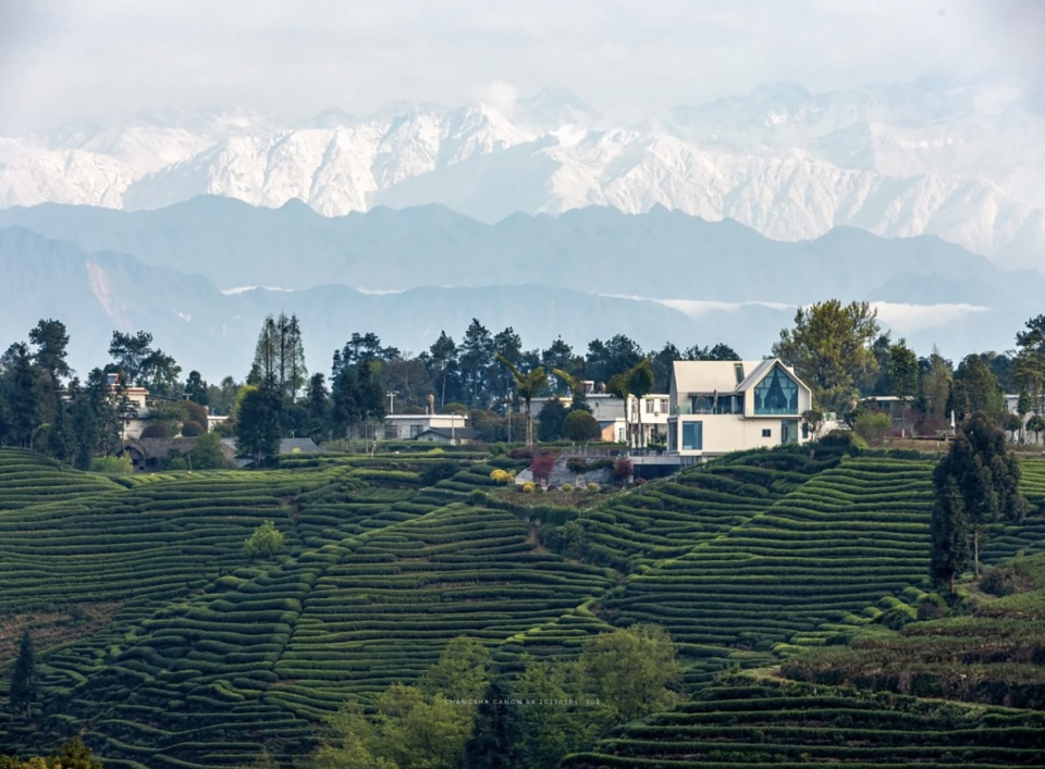 global collection of yaan baizhang lake landscaping and rural architecture international design competition