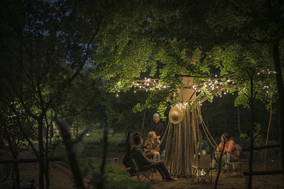 bamboo installation tree of life by uk studio
