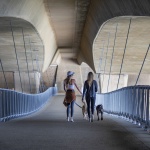 圣埃利霍湖人行天桥，美国 / Safdie Rabines Architects