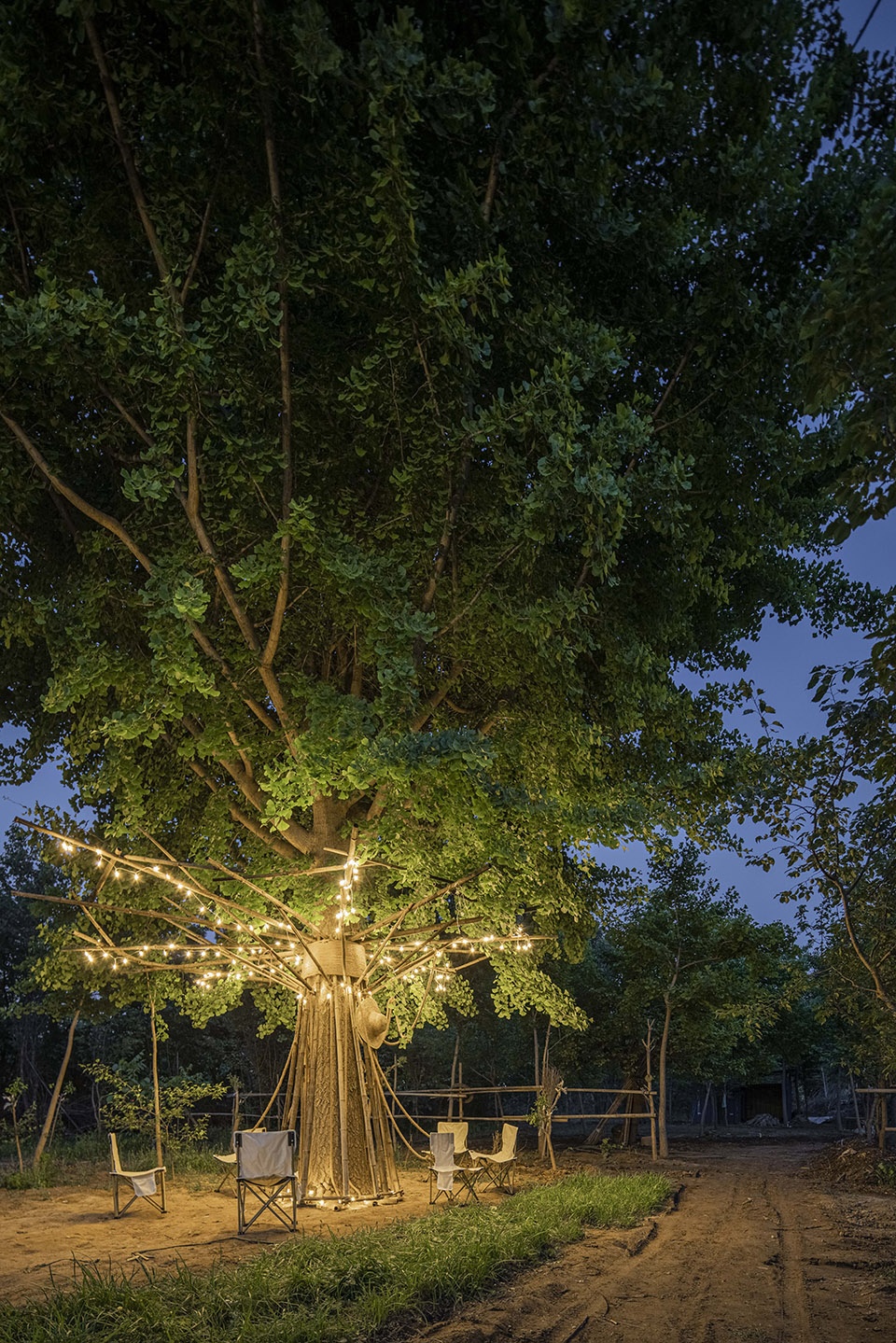 bamboo installation tree of life by uk studio