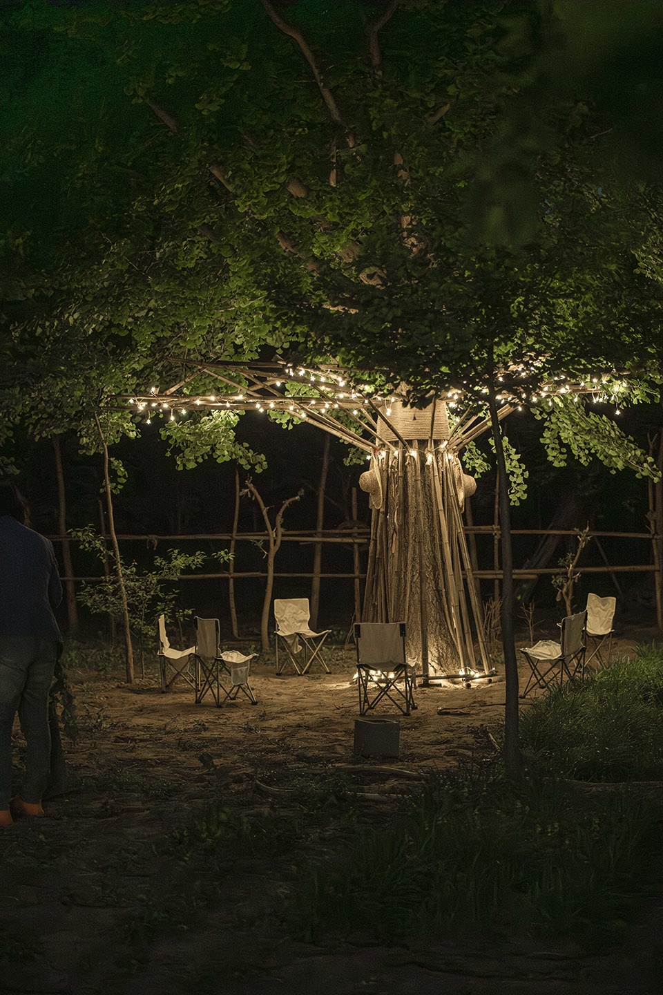 bamboo installation tree of life by uk studio