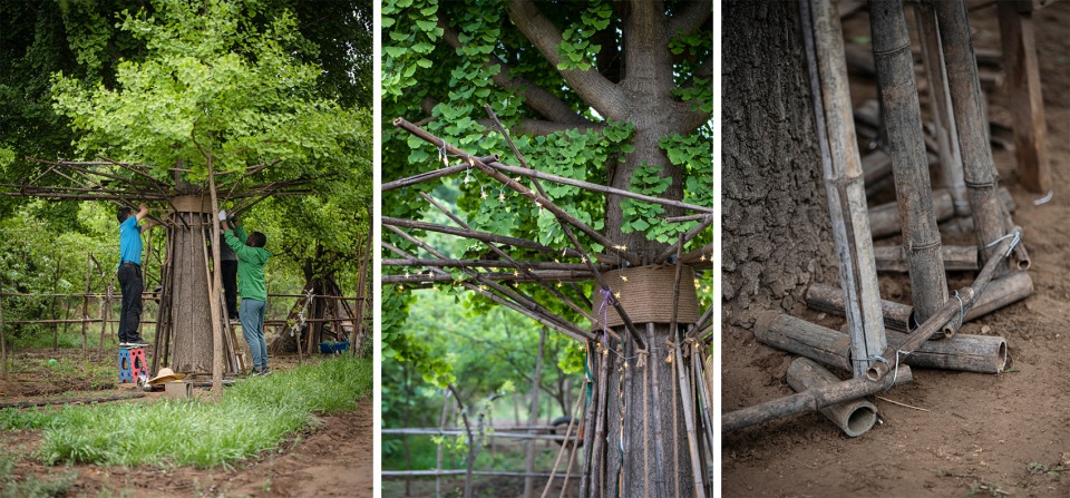 bamboo installation tree of life by uk studio