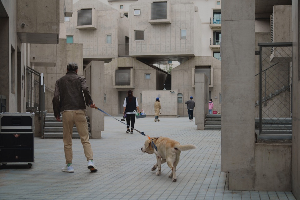 018 the kennels atelier gom