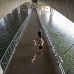 圣埃利霍湖人行天桥，美国 / Safdie Rabines Architects