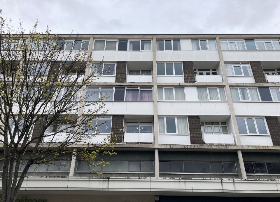 Dragon Flat Tsuruta Architects