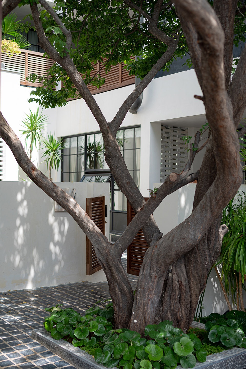 云七海景度假酒店 AND studio