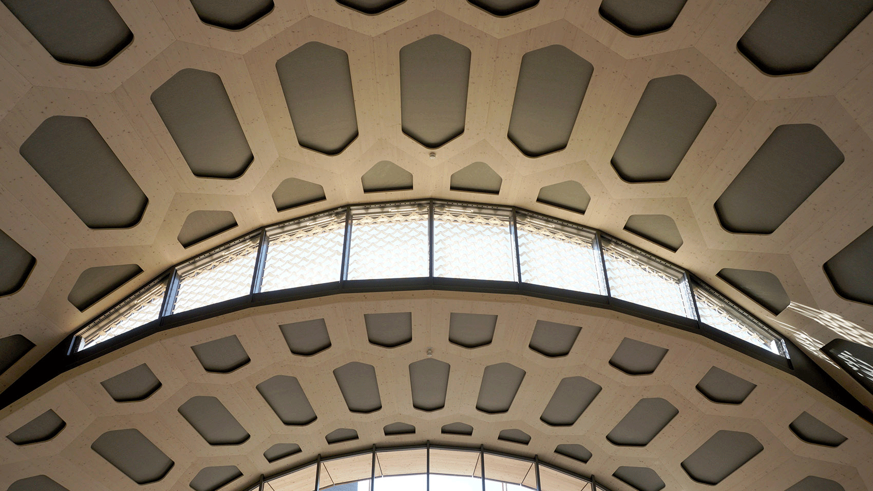 livMatS Biomimetic Shell by IntCDC ivMatS