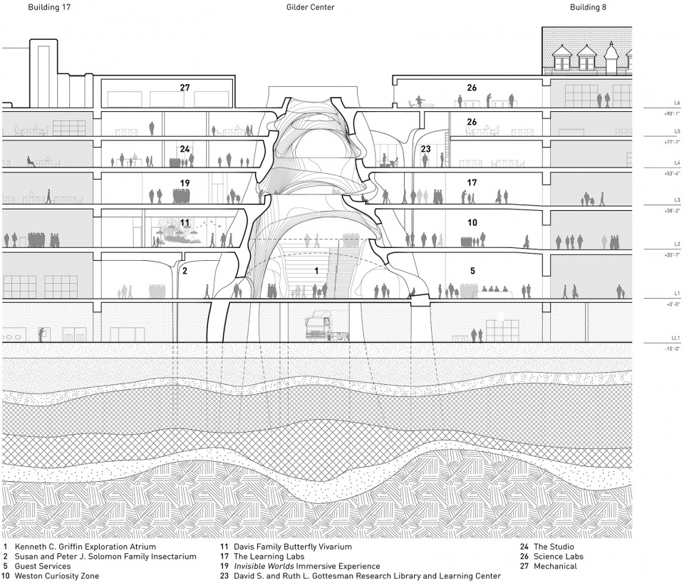 richard gilder center for science education and innovation by studio gang