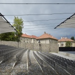 普拉哈季采露天电影院，捷克 / Mimosa Architects