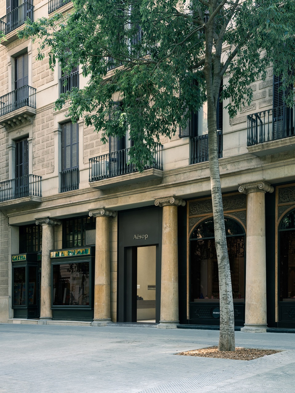 aesop consell de cent barozzi veiga