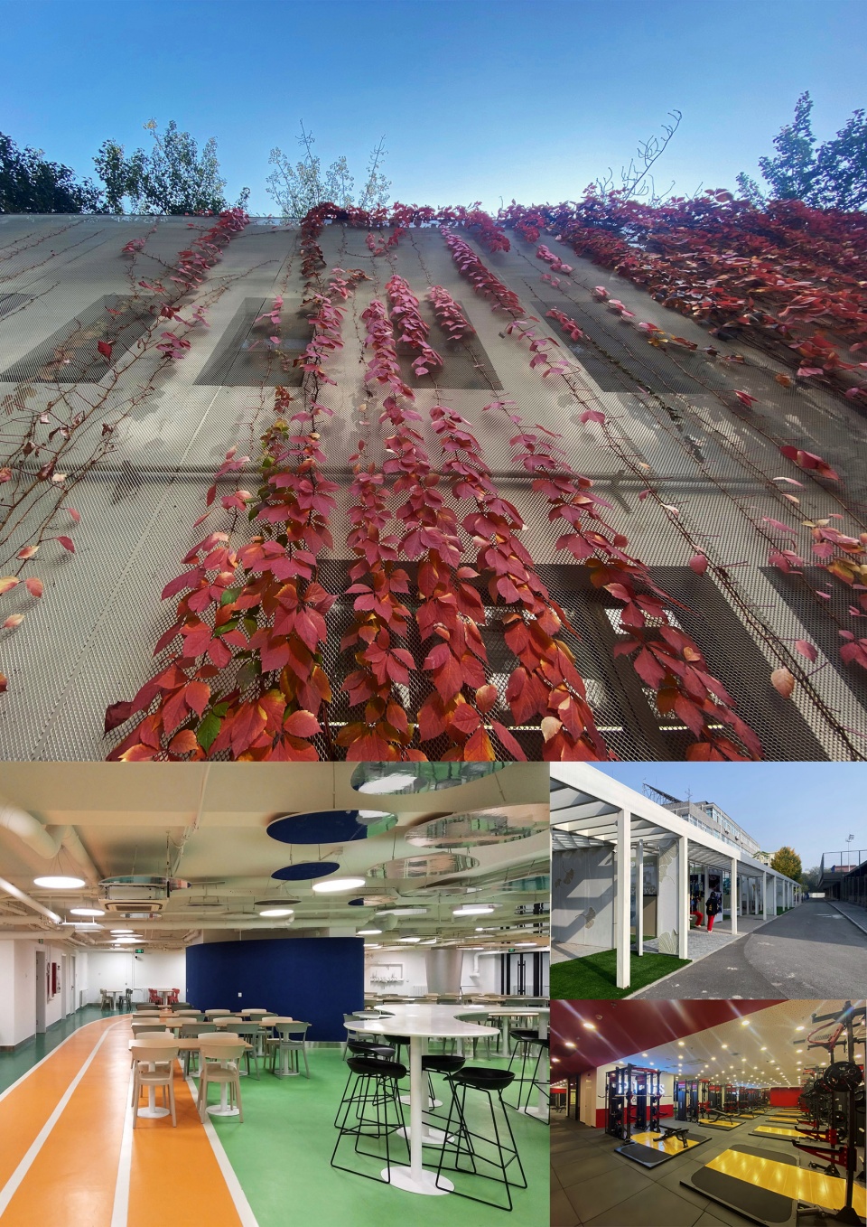 lyceum school by dl atelier