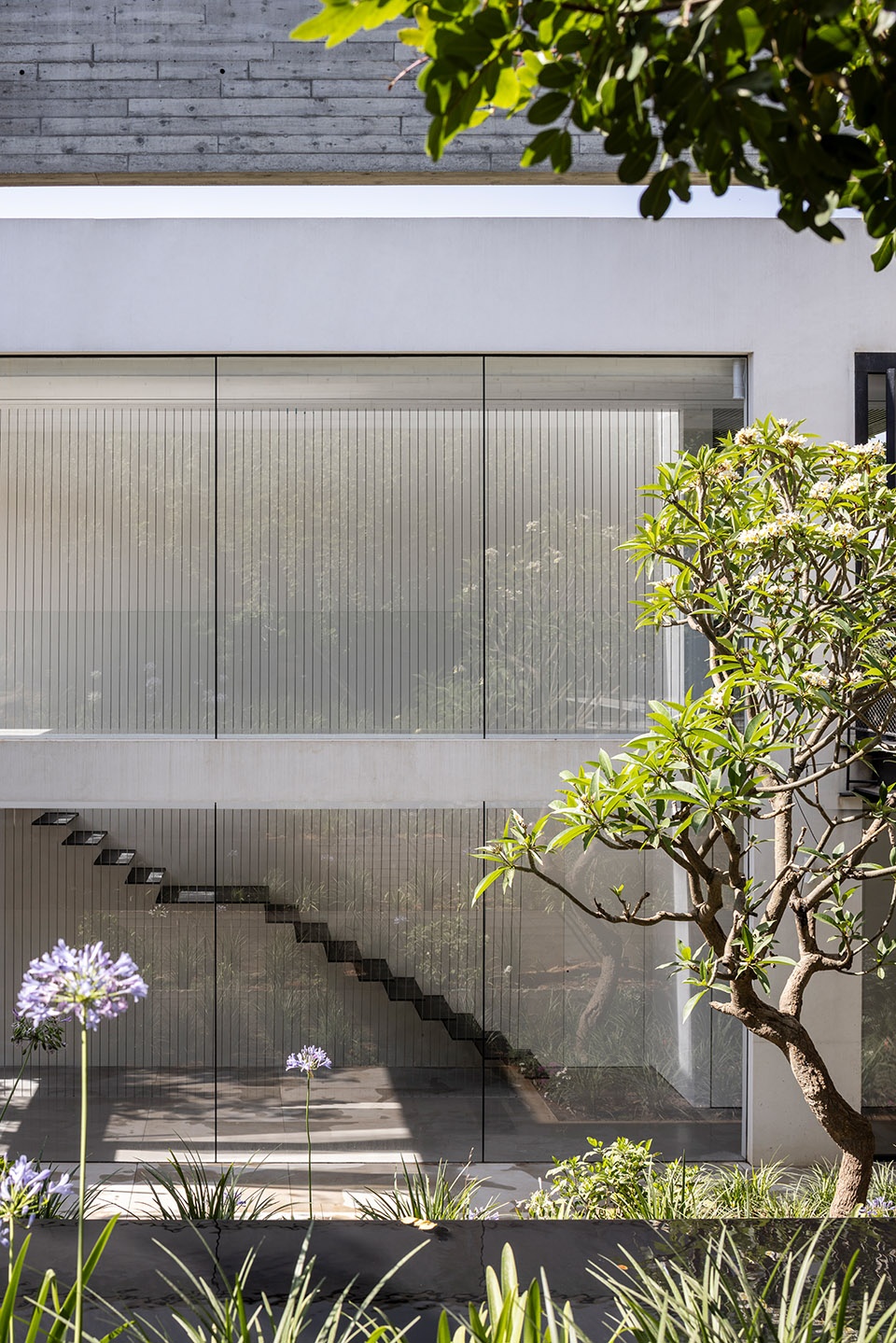 z3 house by raz melamed architecture