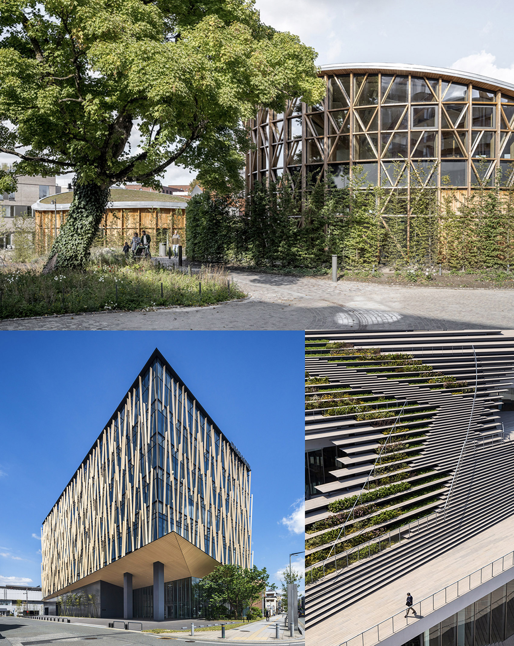 interview kengokuma