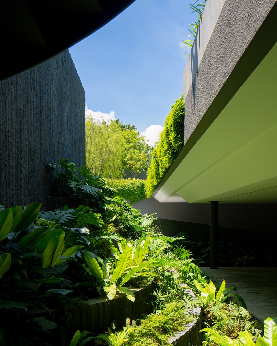 Serendipity House by Wallflower Architecture Design