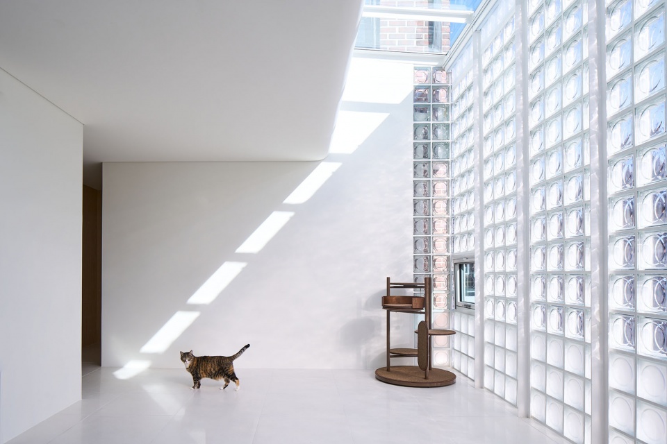 mews glass house by studio heech