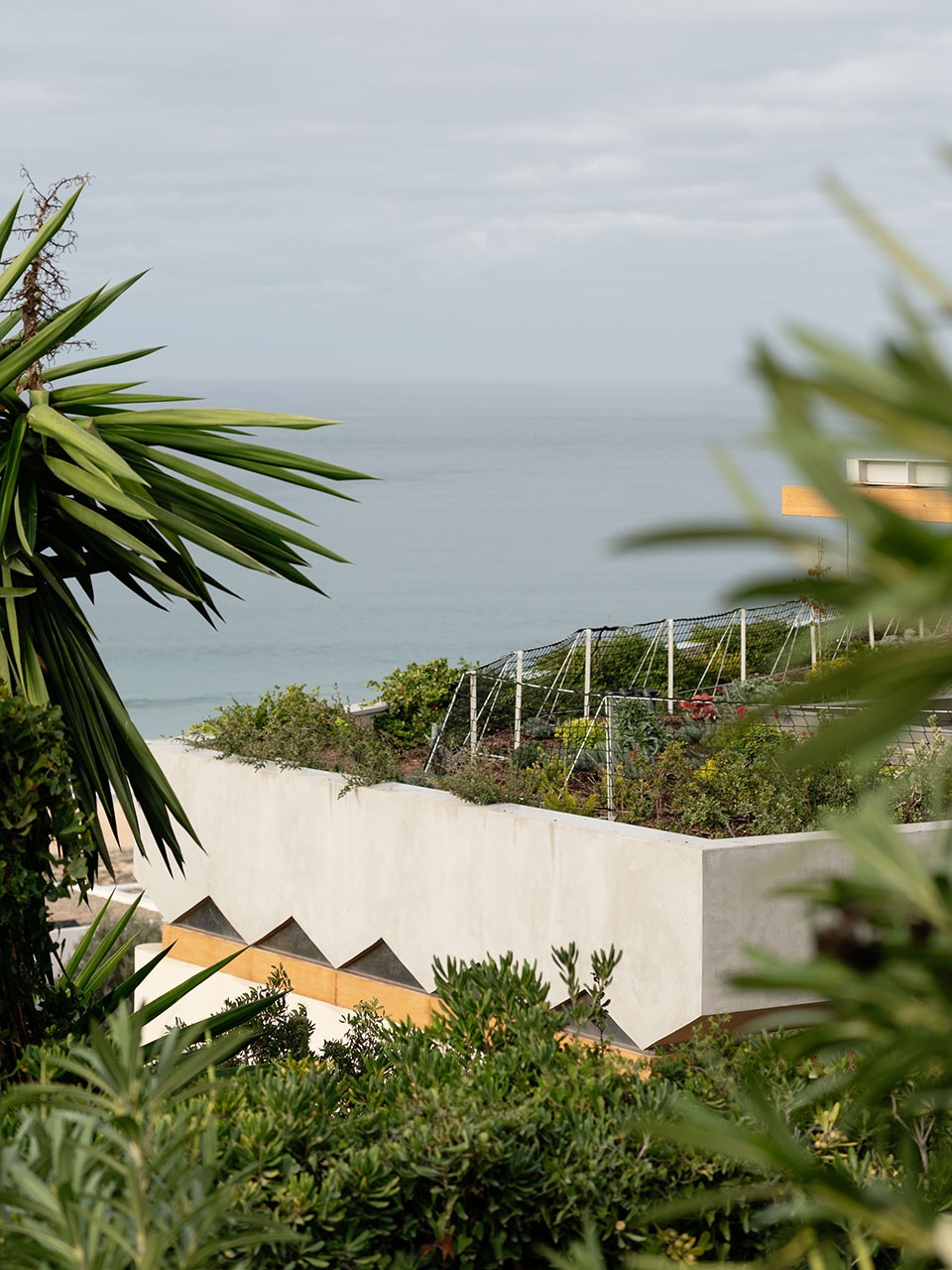 PS 50 House Langarita Navarro Arquitectos