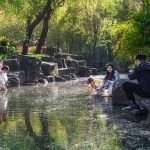 Shanghai Pudong Peony Garden Renovation and Upgrading Project by OFFICE MYP.INC