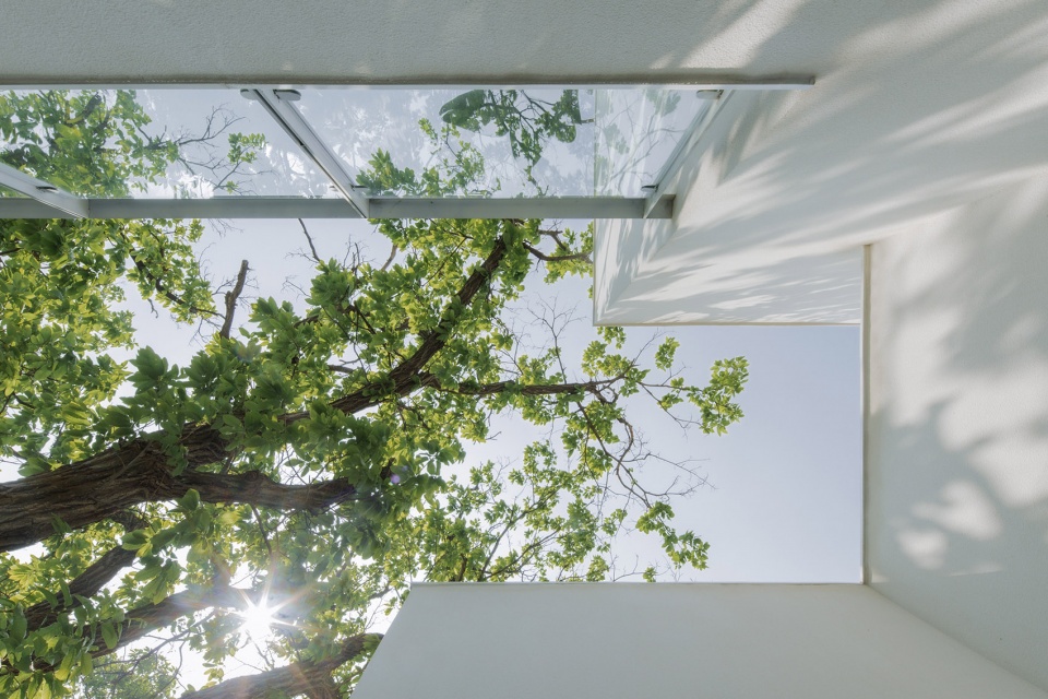 Yimeng Read Rest Hotel China by Greyspace Architects