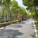 Shanghai Pudong Peony Garden Renovation and Upgrading Project by OFFICE MYP.INC
