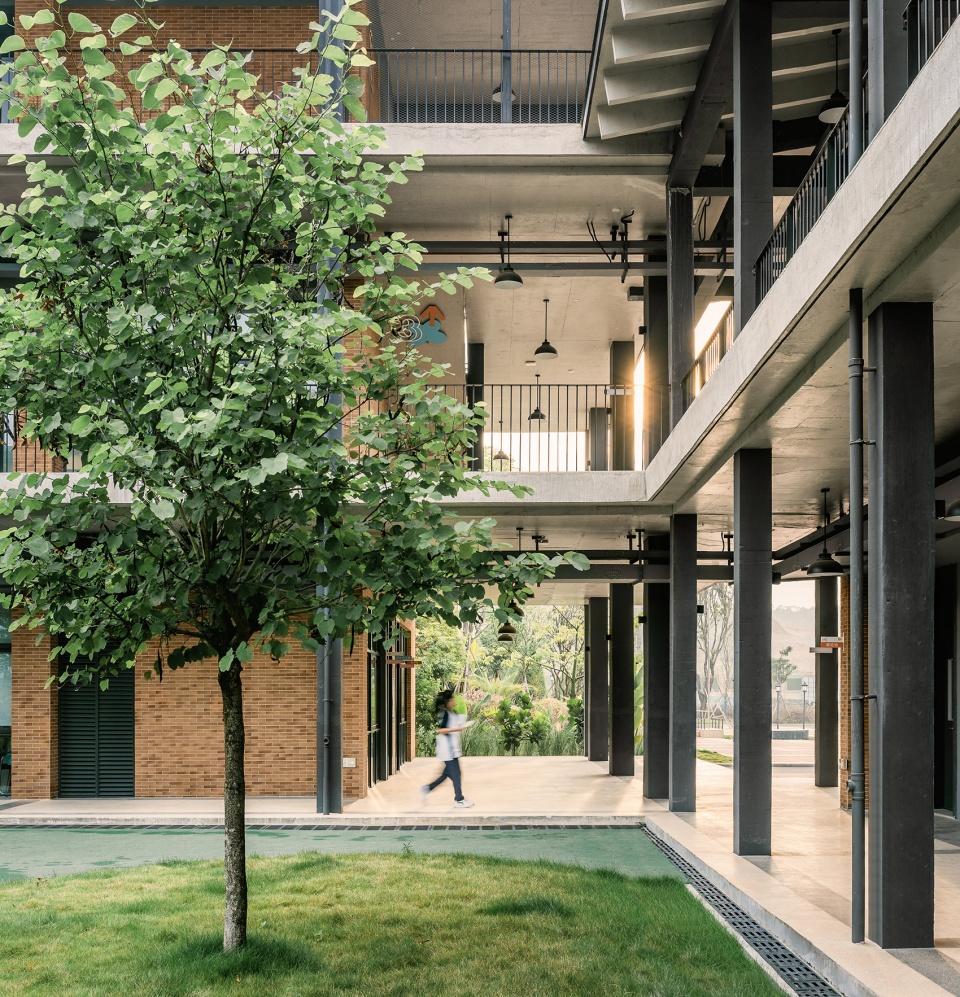 lyceum school by dl atelier