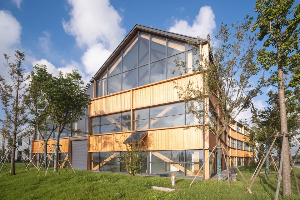 dafeng timber structure research and design center by cats