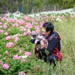 Shanghai Pudong Peony Garden Renovation and Upgrading Project by OFFICE MYP.INC