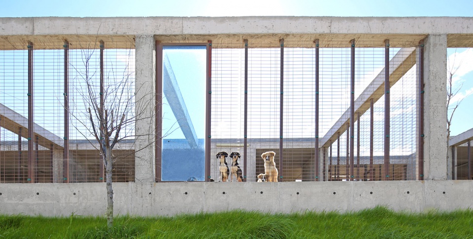PAKO STREET ANIMAL SOCIAL LIFE CAMPUS Mert Uslu Architecture