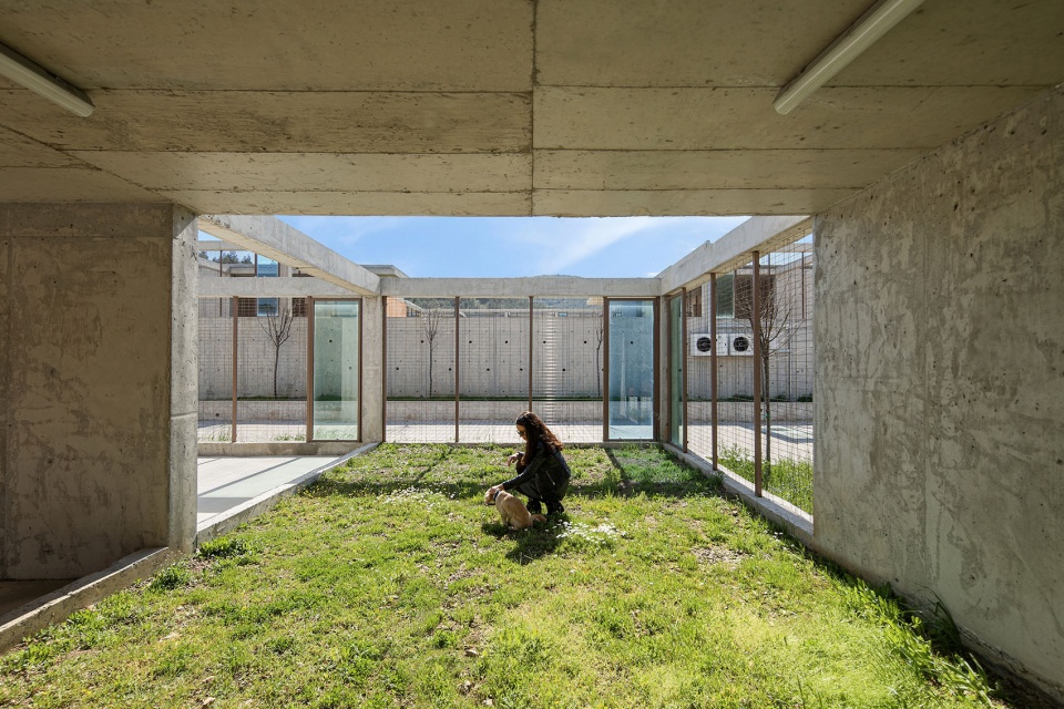 PAKO STREET ANIMAL SOCIAL LIFE CAMPUS Mert Uslu Architecture
