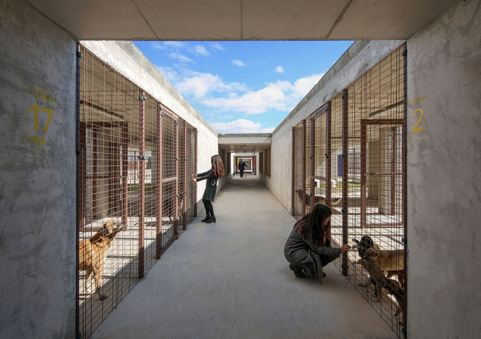 PAKO STREET ANIMAL SOCIAL LIFE CAMPUS Mert Uslu Architecture