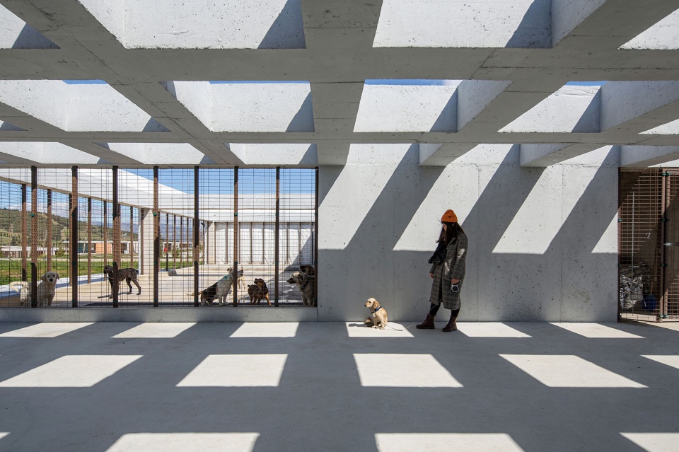 PAKO STREET ANIMAL SOCIAL LIFE CAMPUS Mert Uslu Architecture