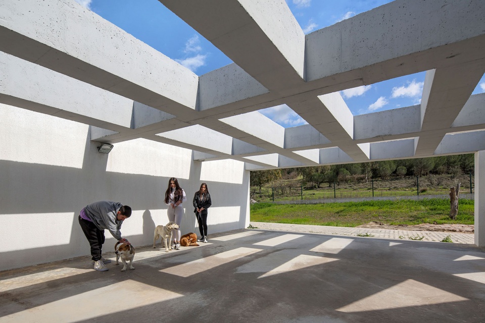 PAKO STREET ANIMAL SOCIAL LIFE CAMPUS Mert Uslu Architecture