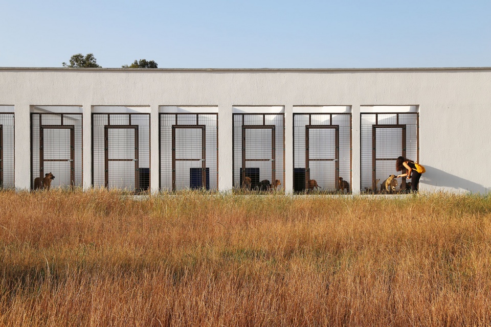 PAKO STREET ANIMAL SOCIAL LIFE CAMPUS Mert Uslu Architecture