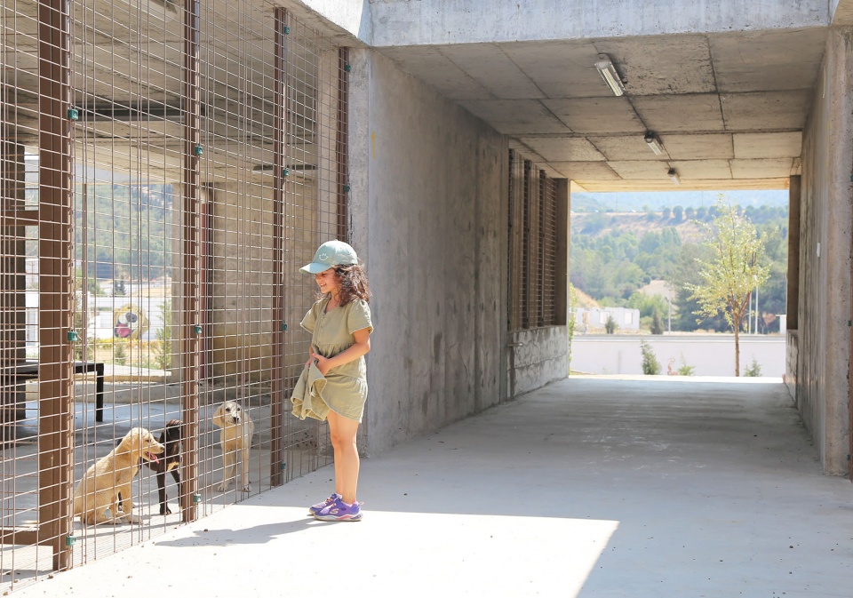 PAKO STREET ANIMAL SOCIAL LIFE CAMPUS Mert Uslu Architecture
