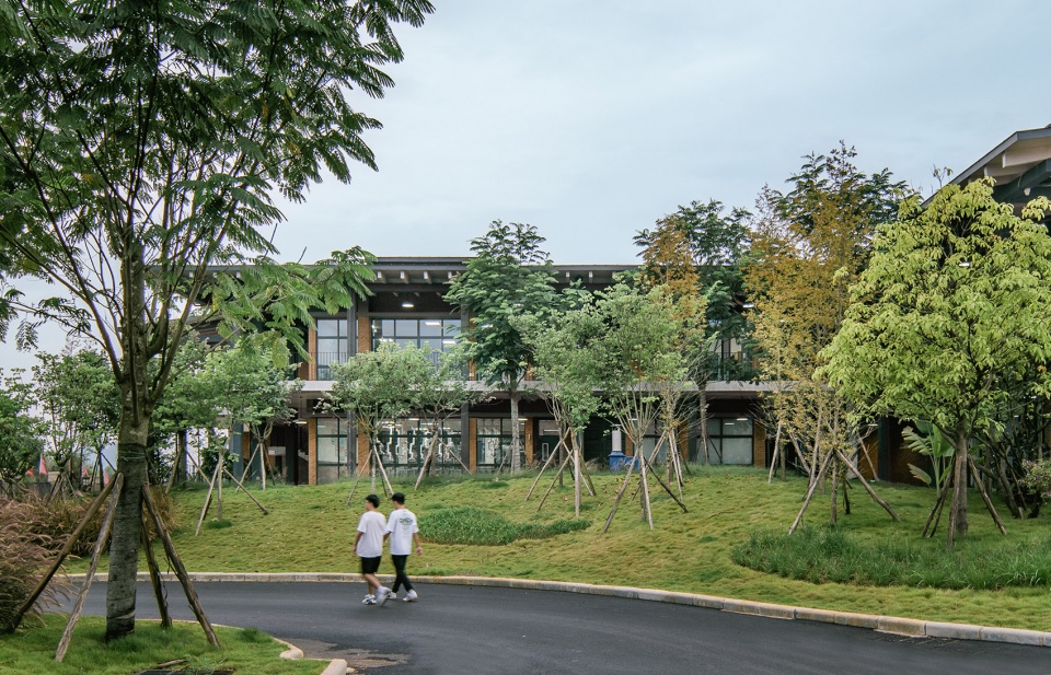 lyceum school by dl atelier