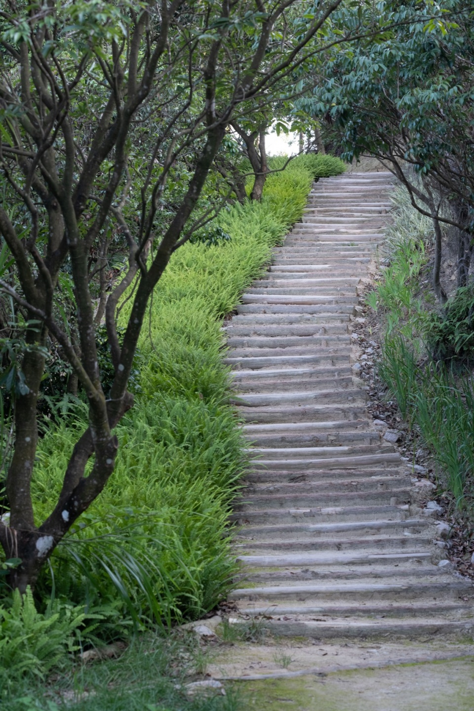 手作步道The Handmade Steps ©TAL