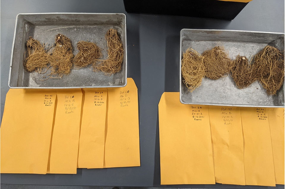 2022 asla research award of honor soilless soils olin