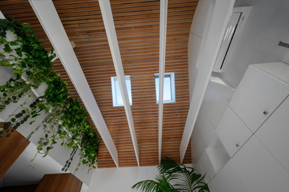 Garage Conversion Modern Granny Flat