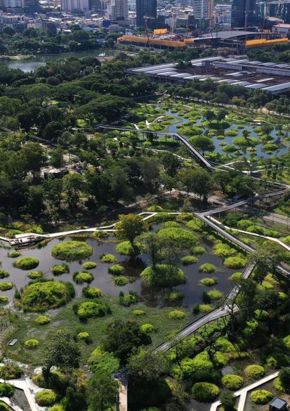 benjakitti forest park by arsomsilp community and environmental architect co ltd