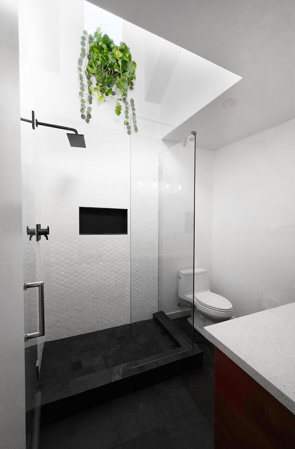 Garage Conversion Modern Granny Flat