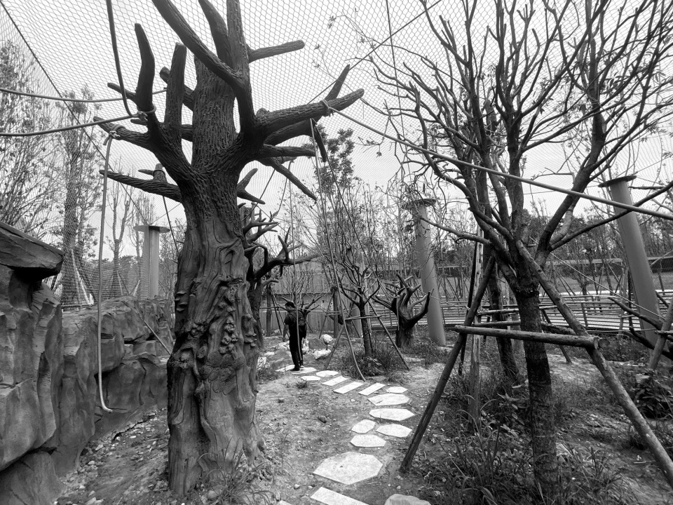 the expansion and renovation project of the panda base
