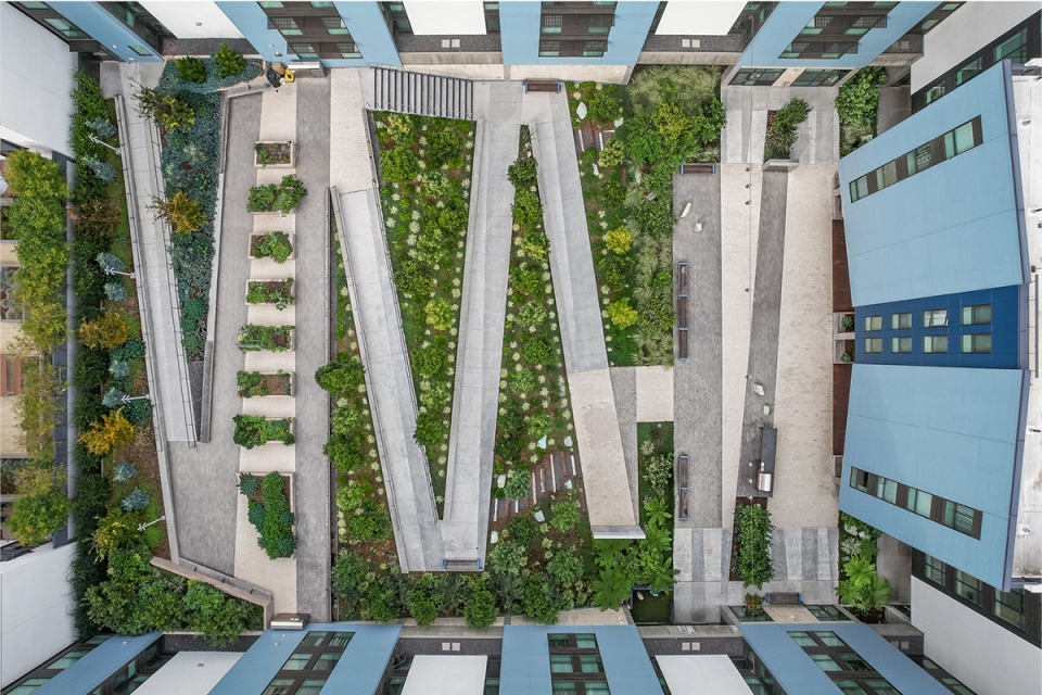 2021 asla residential design award of excellence edwin m lee apartments gls landscape architecture