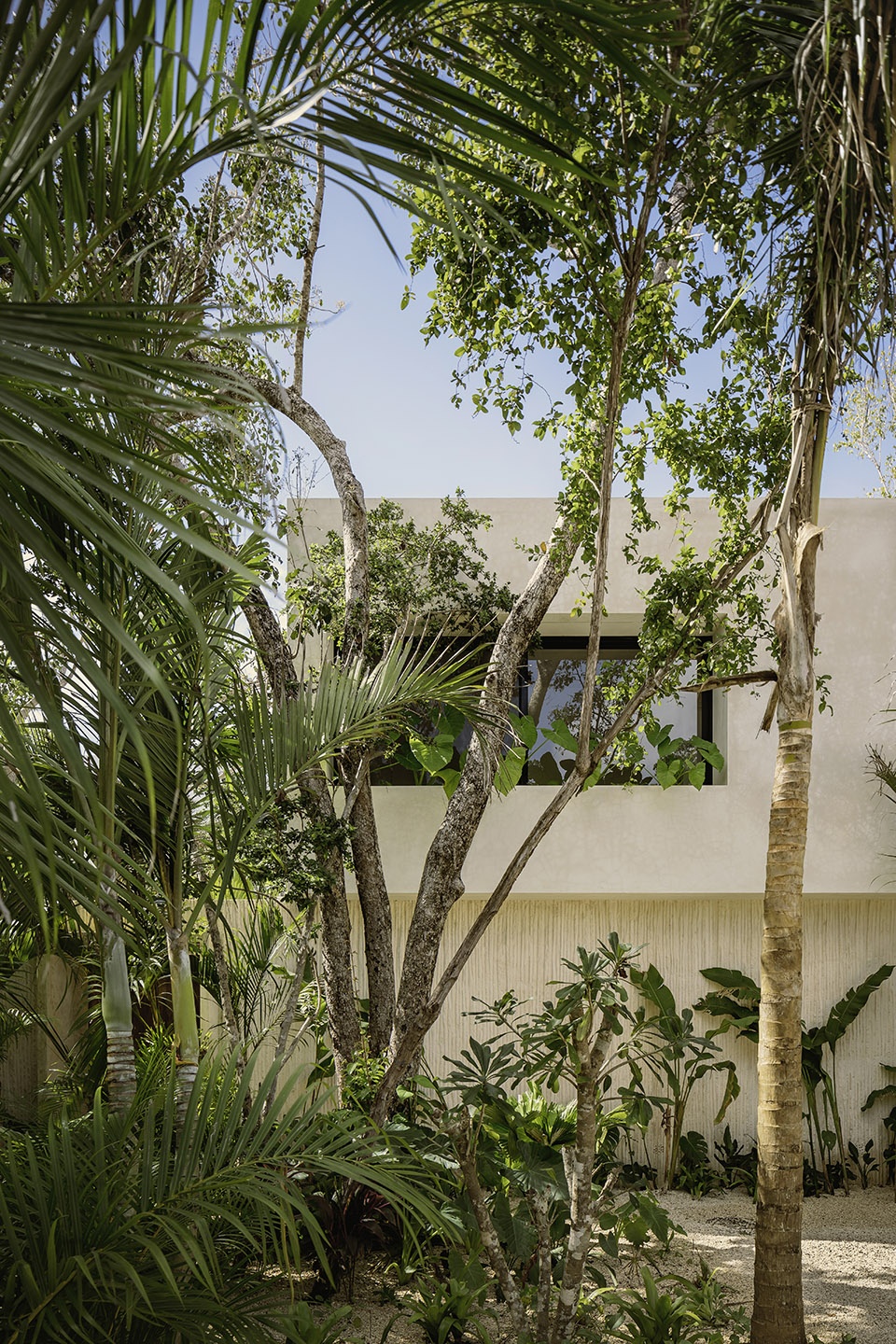 CASA ARECA by CO LAB Design Office