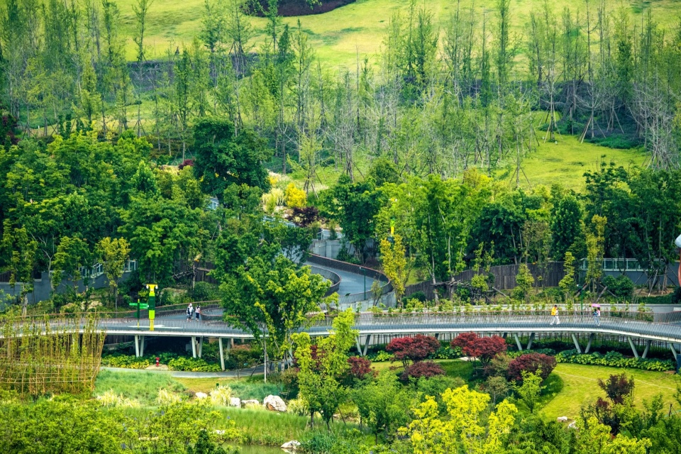 the expansion and renovation project of the panda base