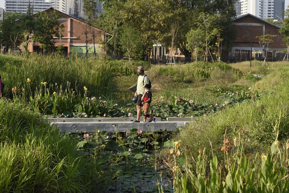 benjakitti forest park by arsomsilp community and environmental architect co ltd