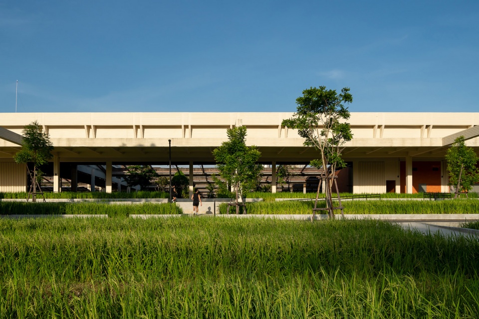 benjakitti forest park by arsomsilp community and environmental architect co ltd