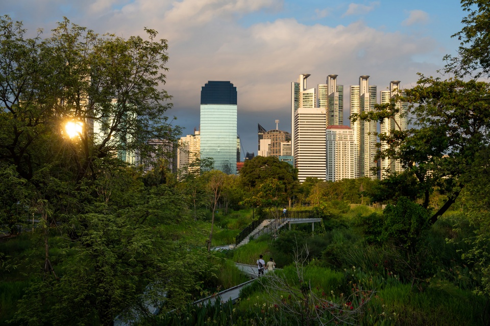 benjakitti forest park by arsomsilp community and environmental architect co ltd