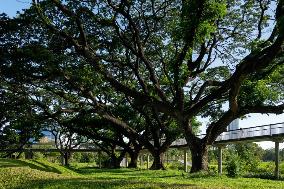 benjakitti forest park by arsomsilp community and environmental architect co ltd